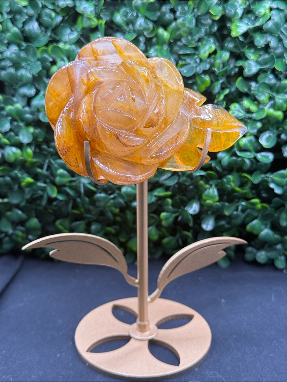 Beautiful Golden Healer Flower on Stand
